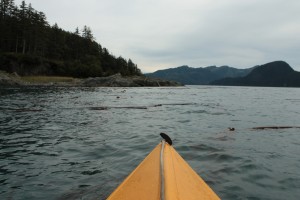 Kayaking around George Island